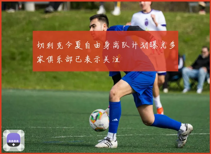 切利克今夏自由身离队计划曝光多家俱乐部已表示关注