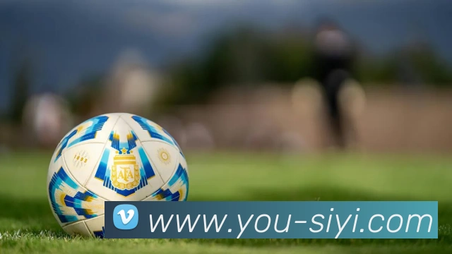 mk体育官网中国官方网平台生态图